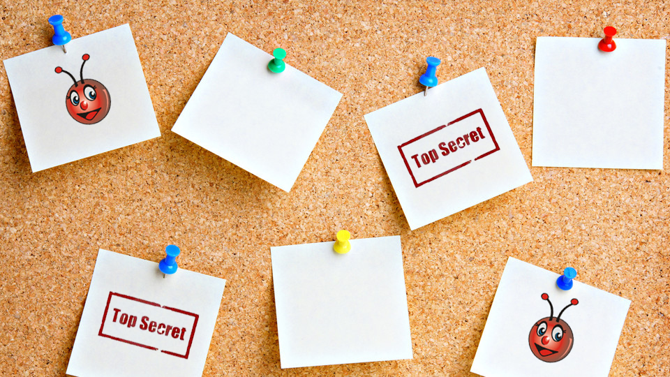 Pinterest Secret Boards SocialChamps