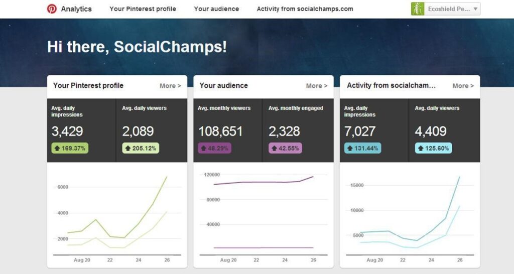 Pinterest analytics