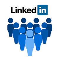 Newsle bonds with LinkedIN